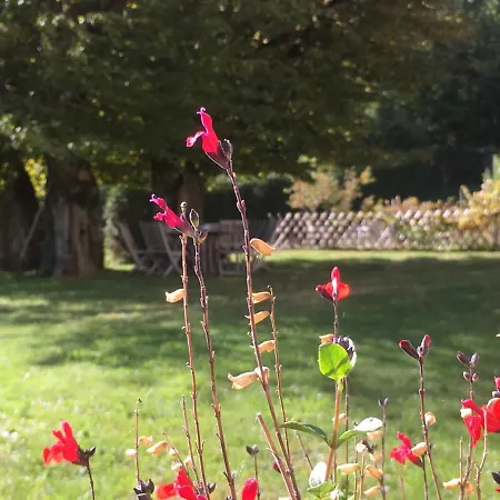 Maison d'hôtes La Colonie - Et 3*